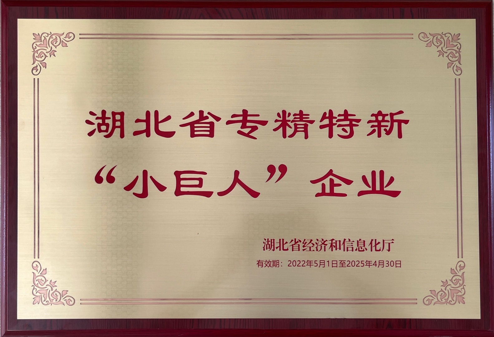 湖北省“專精特新”小巨人企業(yè)