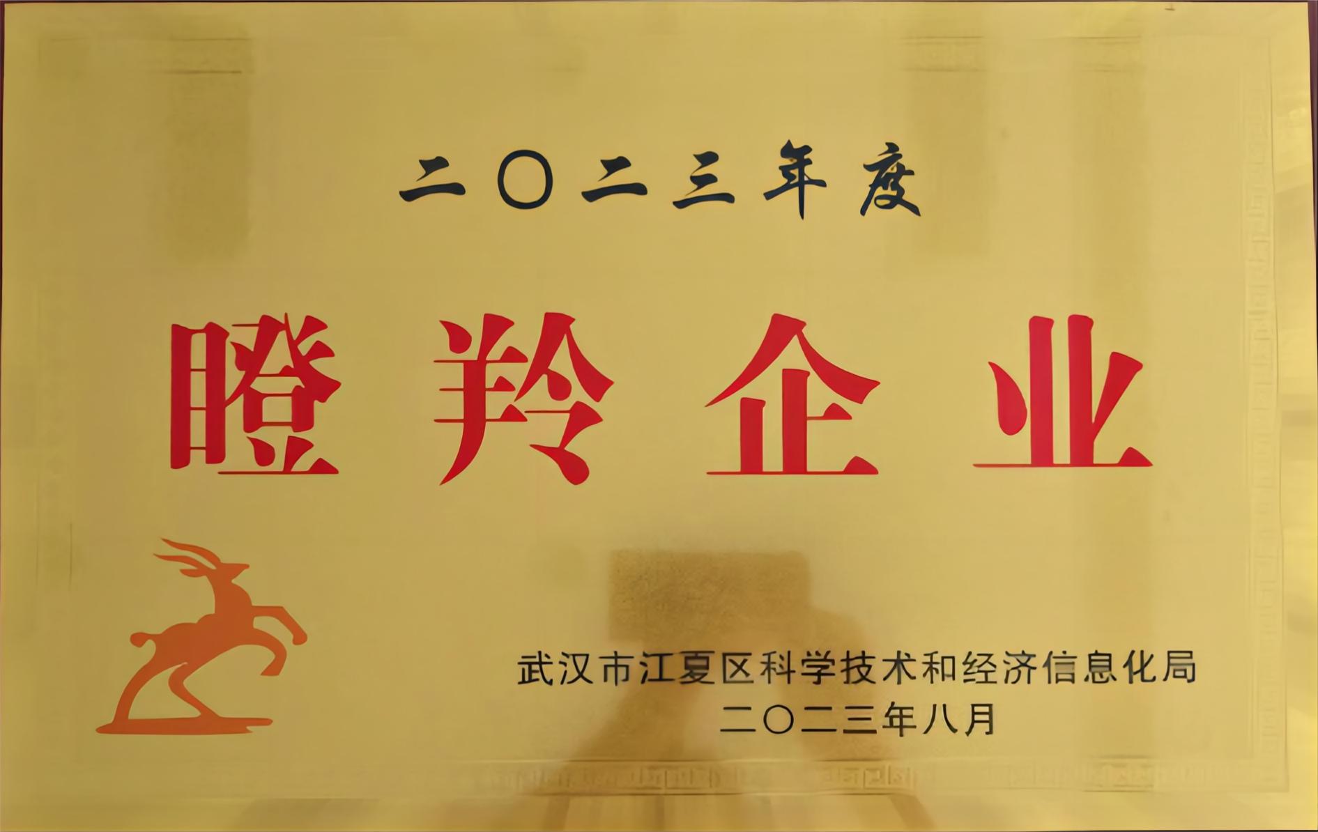 2023瞪羚企業(yè)