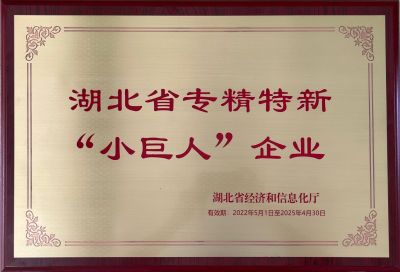 2022年4月，湖北東升天龍喜獲省級第四批專精特精新“小巨人”榮譽(yù)稱號(hào) ...